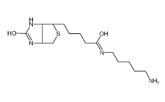 N-（5-Aminopentyl）biotinamide    	115416-38-1     	N-(5-氨基戊基)生物素酰胺