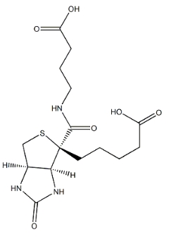 4-（（Biotinoyl）amino）Butyric acid	    35924-87-9	          生物素?；?4-氨基丁酸