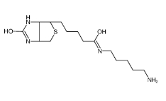 Biotin-NH2/生物素-氨基；115416-38-1 