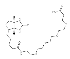 Biotin-PEG4-COOH/CAS:721431-18-1/生物素四聚乙二醇羧基