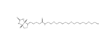 Biotin-PEG5-SH/生物素五聚乙二醇巰基	；866935-65-1