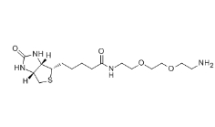 Biotin-PEG2-NH2/138529-46-1/生物素二聚乙二醇氨基	