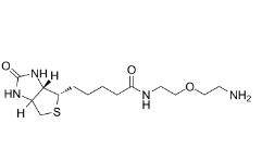 Biotin-PEG1-amine/cas:811442-85-0/生物素一聚乙二醇氨基