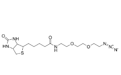 Biotin-PEG2-azide/1910803-72-3/生物素二聚乙二醇疊氮	