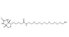 Biotin-PEG4-SH/2762393-22-4/生物素四聚乙二醇巰基	 