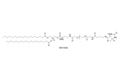 DSPE-PEG-Biotin (MW 2000)；385437-57-0；磷脂酰乙醇胺-聚乙二醇2000-生物素