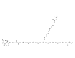 N-(Biotin-PEG4)-N-bis(PEG4-Boc)；2112730-79-5