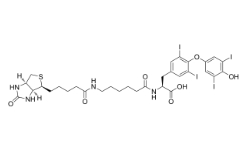 Biotin-hexanamide-(L-Thyroxine)；2278192-78-0；生物素己酰胺-（L-甲狀腺素）