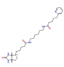 Biotin HPDP；129179-83-5；生物素-二硫吡啶