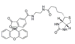 生物素（5-熒光素）綴合物 ； 957494-27-8；BIOTIN (5-FLUORESCEIN) CONJUGATE