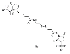 Biotin-SS-NHS 生物素-二硫-活性酯；cas:122266-55-1