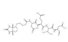 Biotin-Asp-Glu-Val-Asp-CHO；178603-73-1；生物素-天冬氨酰-谷氨酰-纈氨酰-天冬氨醛