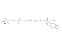 cas:2032788-37-5，DBCO-PEG5-Desthiobiotin，二苯并環辛炔-五聚乙二醇-脫硫生物素