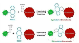 disulfo-ICG-DBCO，二磺酸-吲哚菁綠-二苯并環辛炔