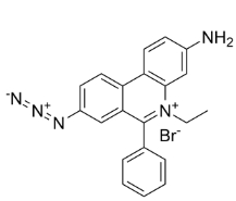 EMA[單疊氮化溴乙非啶]，CAS號：58880-05-0，EMA [Ethidium monoazide bromide]