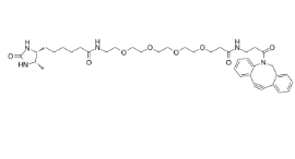 DBCO-PEG4-Desthiobiotin，Desthiobiotin-PEG4-DBCO，CAS號：2032788-37-5，二苯基環辛炔-四聚乙二醇-脫硫生物素