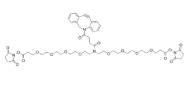 DBCO-N-bis(PEG4-NHS ester)，CAS:2639395-38-1，二苯基環(huán)辛炔-N-bis(四聚乙二醇-琥珀酰亞胺酯)