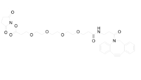 DBCO-NHCO-PEG4-NHS ester，cas：2100306-58-7，二苯基環(huán)辛炔-酰胺-四聚乙二醇-NHS脂