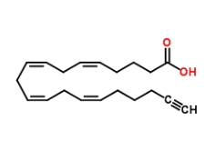 Arachidonic acid-alkyne，CAS號(hào)：1219038-32-0