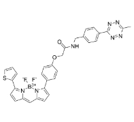 BDP TR methyltetrazine, 2183473-54-1 , BDP TR甲基四嗪