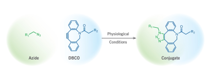 DBCO-PEG1000-Biotin,DBCO-PEG2000-Biotin，二苯基環(huán)辛炔PEG生物素