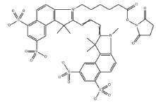 2231670-91-8；Sulfo-CY3.5 NHS ester	；磺酸基CY3.5活性酯	