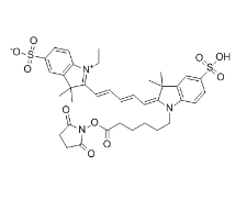 146368-14-1，Sulfo-Cyanine5 amine，Sulfo-Cyanine5，Sulfo-Cy5，胺基活性，CY5-NHS酯	