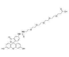 2183440-40-4，5-FITC-PEG5-COOH，Fluorescein-PEG5-acid，熒光素-五聚乙二醇-丙酸	