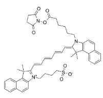 ICG-NHS Ester; CAS:1622335-40-3，吲哚菁綠-琥珀酰亞胺酯