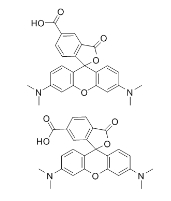 5（6）-羧基四甲基羅丹明熒光試劑,98181-63-6，5(6)-Carboxytetramethylrhodamine