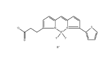 BDP 558/568 carboxylic acid|Bodipy染料；150173-72-1；BDP 558/568-羧酸	