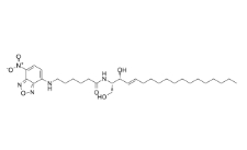 CAS號：94885-02-6， C6 NBD Ceramide