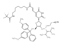 Amino-modifier C6 dT 亞磷酰胺單體 ，CAS號：210534-16-0