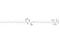 C16 Ceramide-d7，1840942-13-3          瑞禧生物