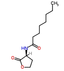 CAS號：147852-84-4  ，C8-HSL            瑞禧生物  