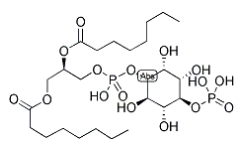 CAS號(hào)：214069-07-5，PI(4)P, DI C8，4-單磷酸磷脂酰肌醇