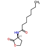 C8-HSL，CAS號：147852-84-4             瑞禧生物