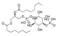 PI(4)P, DI C8，CAS號(hào)：214069-07-5，4-單磷酸磷脂酰肌醇