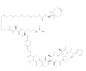 endo-BCN-PEG4-Val-Cit-PAB-MMAE，2762519-08-2，(1R,8S,9S)-雙環[6.1.0]壬-四聚乙二醇-VAL-CIT-PAB-MMAE