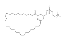 1-Myristoyl-2-palmitoyl-sn-glycero-3-phosphocholine，69525-80-0，1-肉豆蔻酰基-2-棕櫚酰基卵磷脂